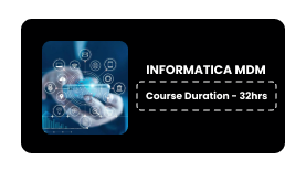 INFORMATICA MDM Online Training In Pune