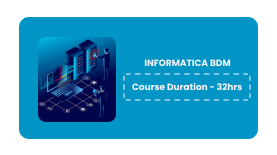 INFORMATICA BDM Online Training in Pune