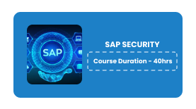 SAP SECURITY Online Training In Pune