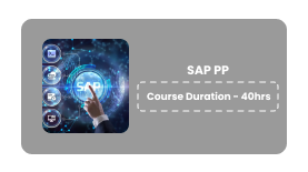 SAP PP Online Training In Pune