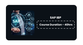 SAP IBP Online Training In Pune