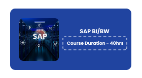 SAP BI/BW Online Training In Pune