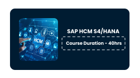 SAP HCM S4/HANA Online Training In Pune