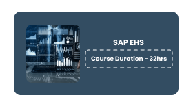 SAP EHS Online Training In Pune