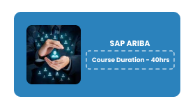 SAP ARIBA Online Training In Pune