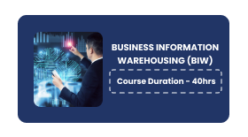 Business Information Warehousing (BIW) Online Training In Pune