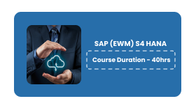 SAP (EWM) S4 HANA Online Training In Pune