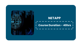 NETAPP Online Training In Pune