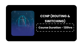 CCNP Online Training In Pune