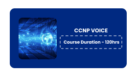 CCNP VOICE Online Training In Pune