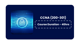 CCNA Online Training In Pune