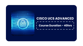 CISCO UCS ADVANCED Online Training In Pune