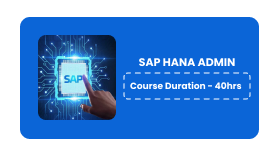 SAP HANA Online Training In Pune