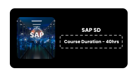 SAP SD Online Training In Pune