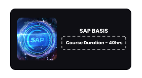 SAP BASIS Online Training In Pune