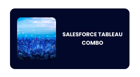 SALESFORCE TABLEAU Online Training In Pune