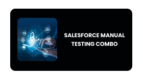 SALESFORCE MANUAL TESTING Online Training In Pune