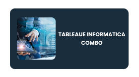 INFORMATICA TABLEAUE Online Training In Pune