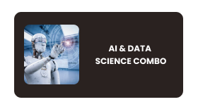 AI & DATA SCIENCE Online Training In Pune