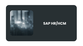 SAP HR/HCM Online Training In Pune