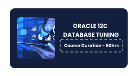 ORACLE 12 C DATABASE TUNING Online Training in Pune