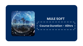 MULE SOFT Online Training In Pune