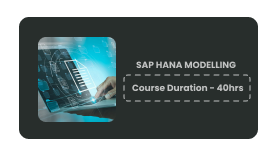 SAP HANA MODELLING Online Training In Pune